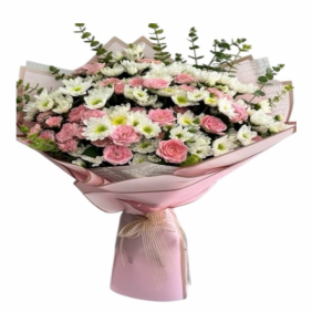  Kemer Çiçekçi Papatya pembe güller